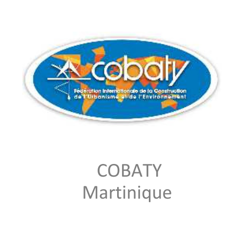 logo_cobaty_17