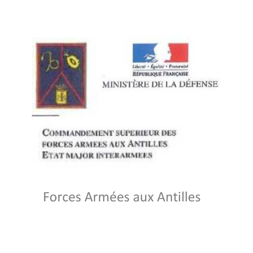 logo_force_armee_45